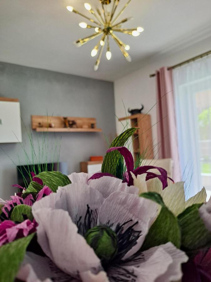 Green View Bella Vista Μπρασόβ Εξωτερικό φωτογραφία